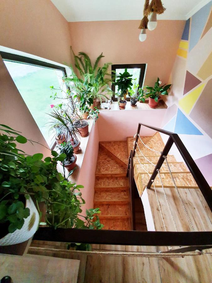 ---Allegria House--- Kazbegi Exterior foto
