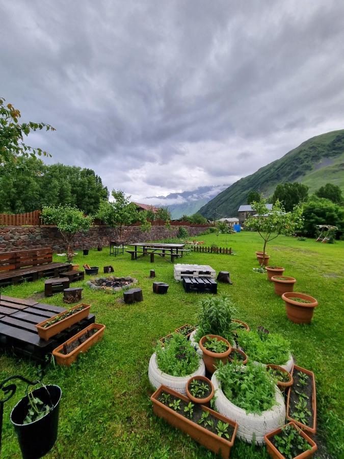 ---Allegria House--- Kazbegi Exterior foto