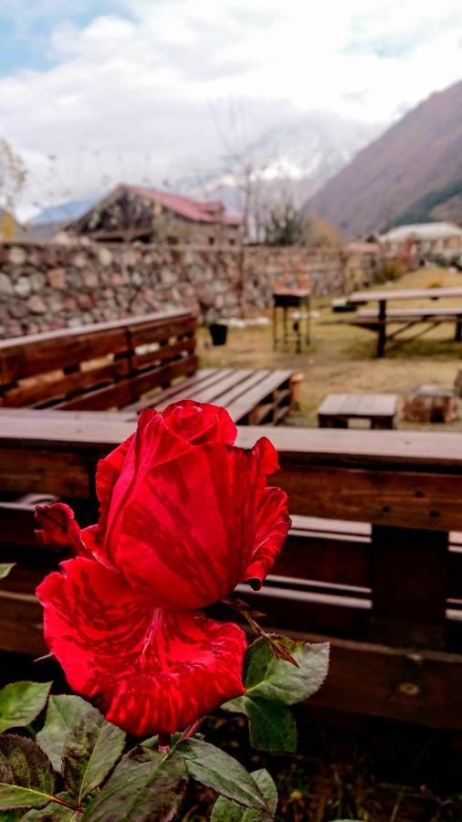 ---Allegria House--- Kazbegi Exterior foto