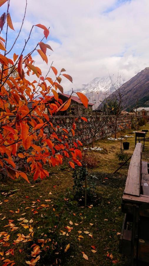 ---Allegria House--- Kazbegi Exterior foto