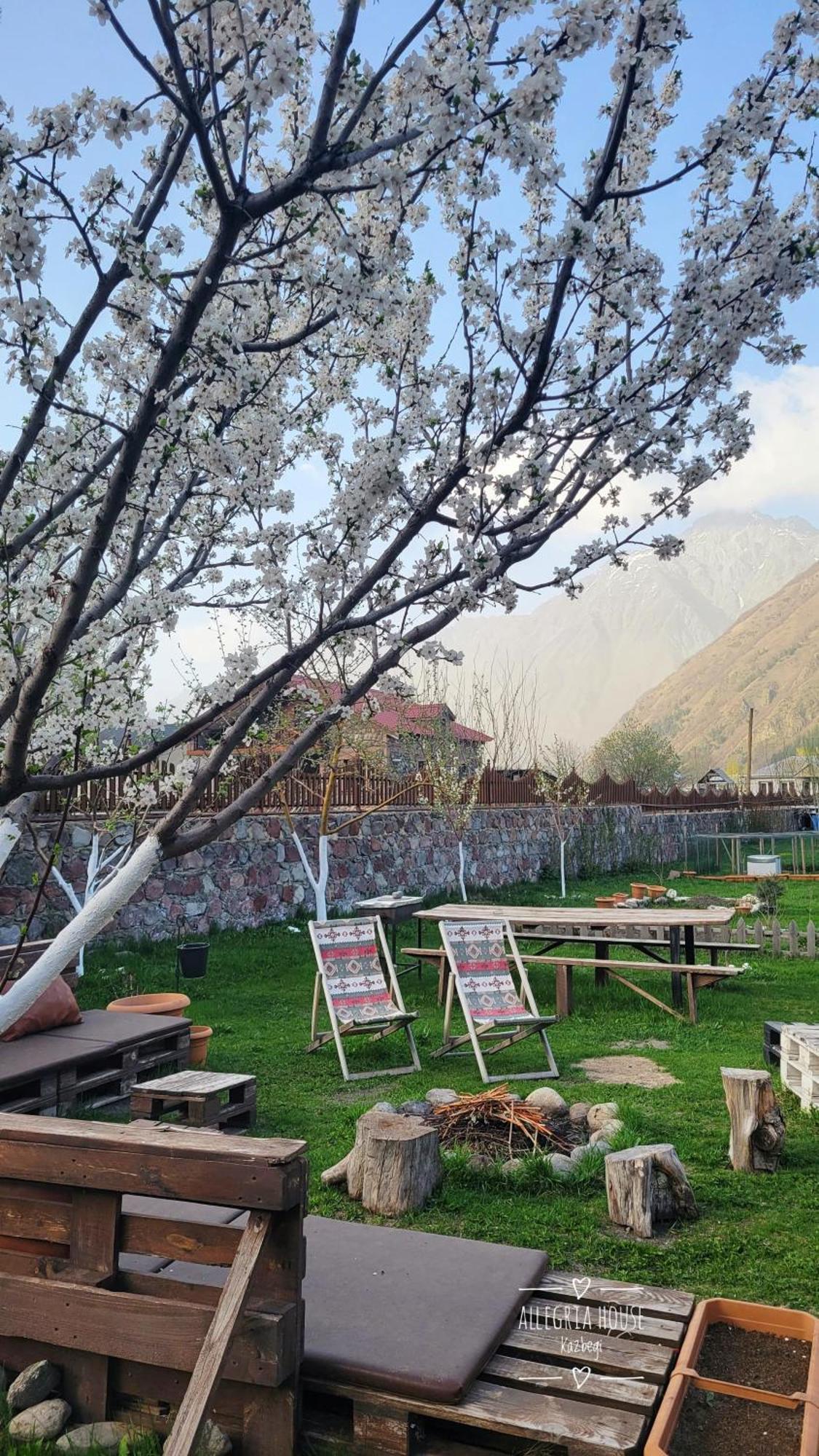 ---Allegria House--- Kazbegi Exterior foto