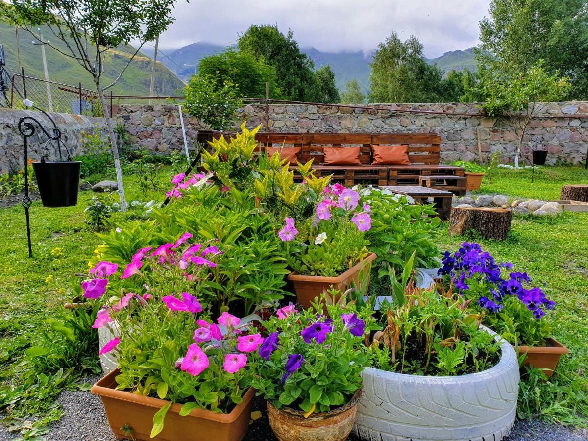 ---Allegria House--- Kazbegi Exterior foto